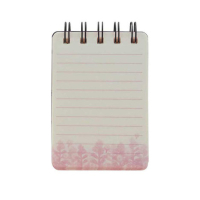 Gorjuss Mini Wiro-Bound Notebook Little Wings (598GJ17)
